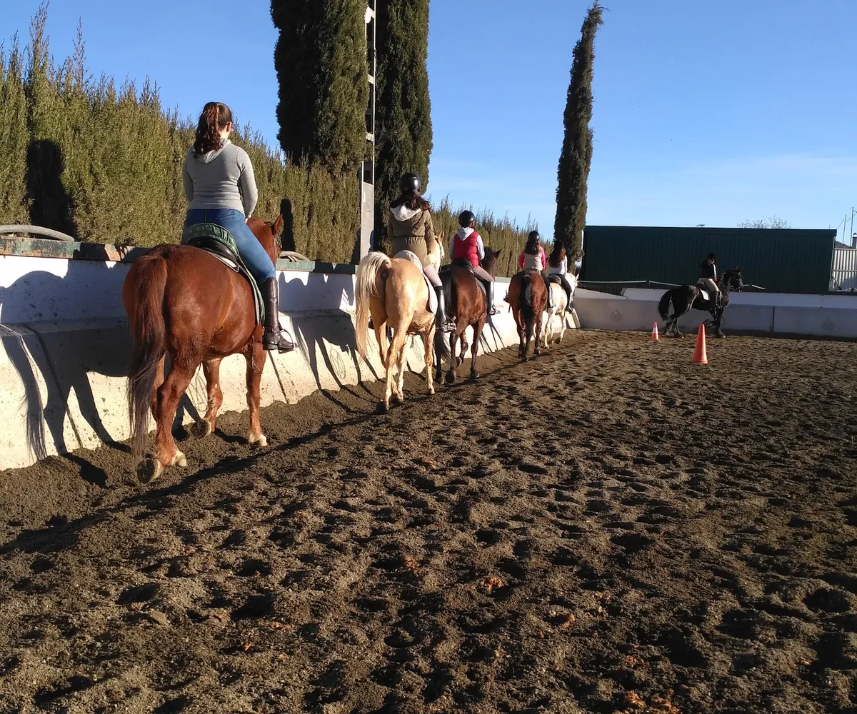 Clase en grupo dando la vuelta al picadero entre cipreses
